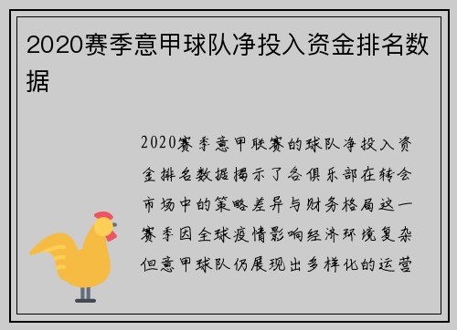 2020赛季意甲球队净投入资金排名数据