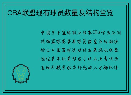 CBA联盟现有球员数量及结构全览